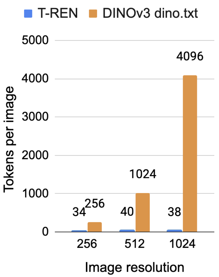 Resolution-agnostic token count
